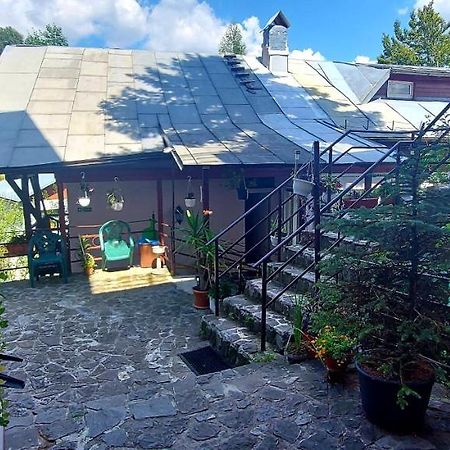 Casa Cristina_ Cabana Busteni Luaran gambar